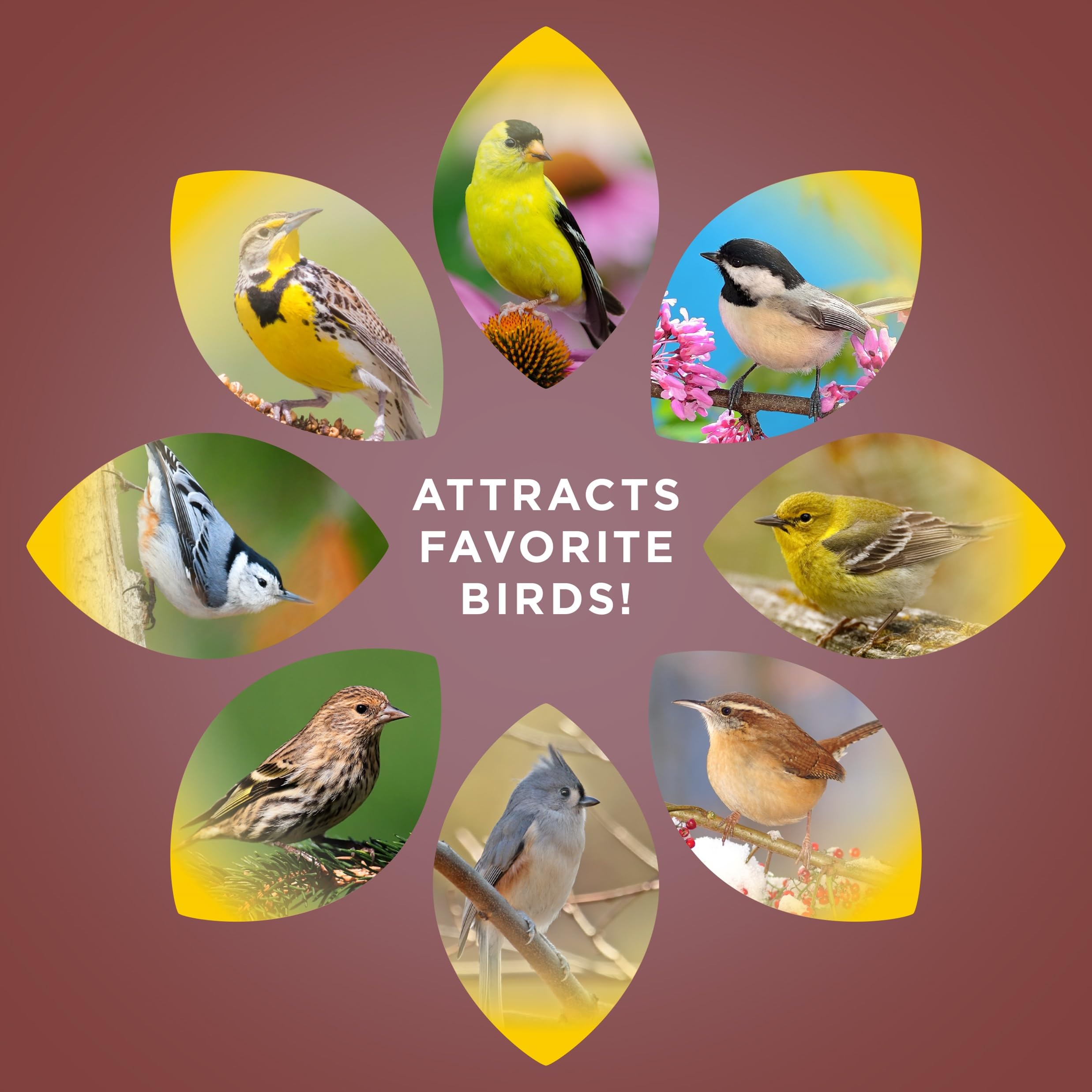 Grosbeaks reach for Audubon Park Sunflower Hearts & Chips seeds