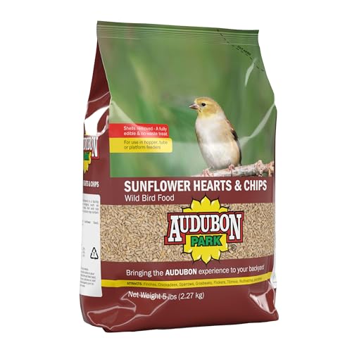 Shell-free Audubon Park Sunflower Hearts & Chips reduce backyard mess