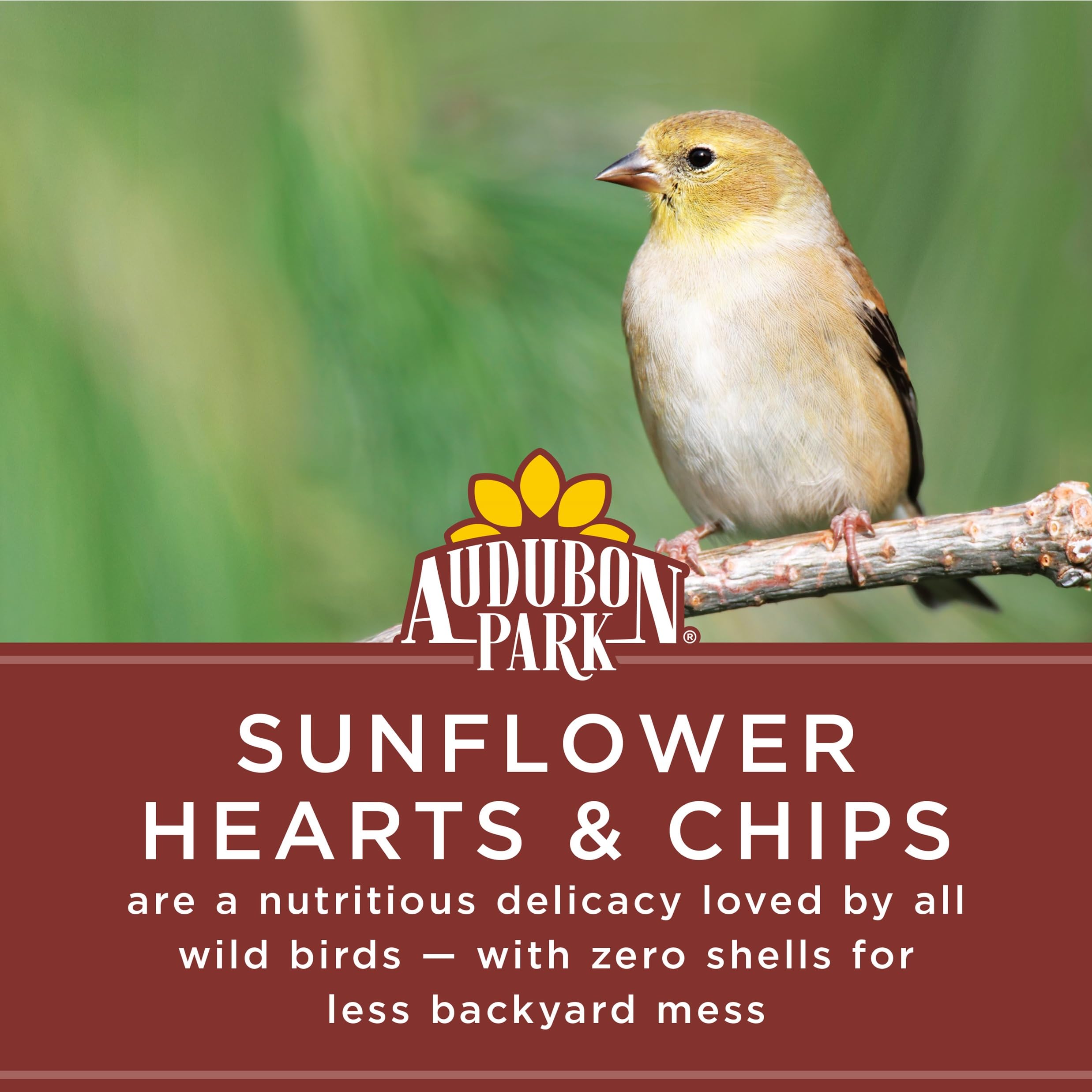 Dehulled Audubon Park Sunflower Hearts & Chips in a tube feeder
