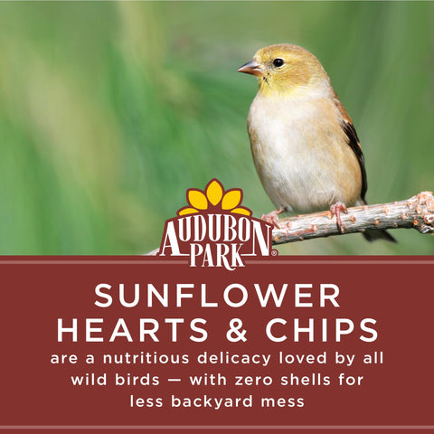 Dehulled Audubon Park Sunflower Hearts & Chips in a tube feeder