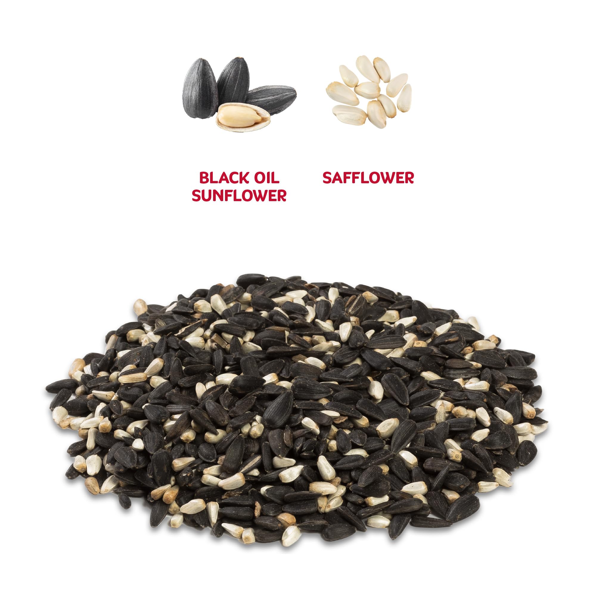 Audubon Park sunflower safflower blend close-up shows energy-rich seeds.