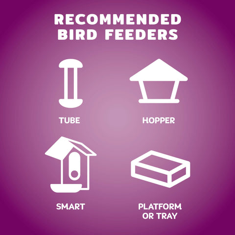 Audubon Park outdoor feeders stay clean with this balanced seed mix.