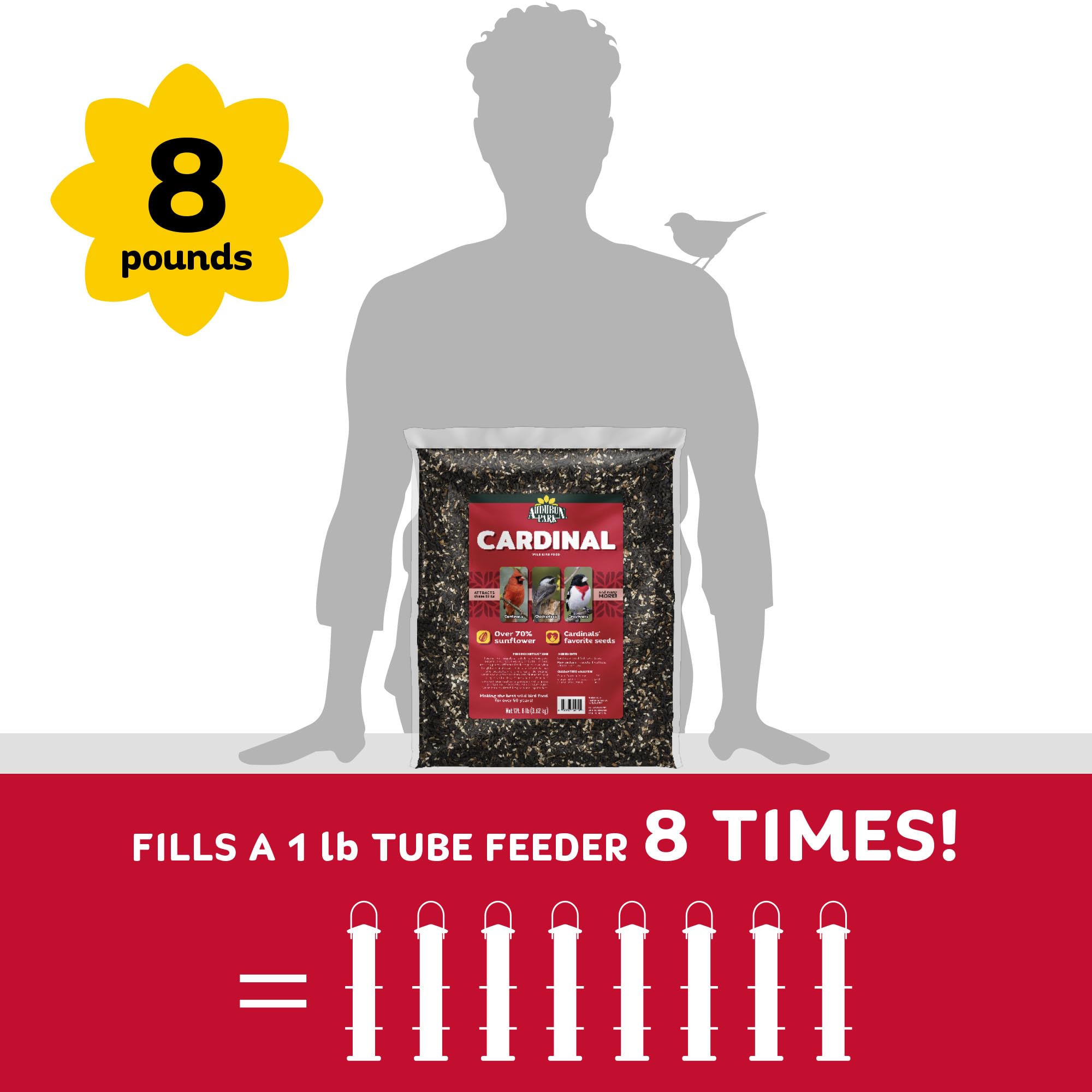 Audubon Park year-round nutrition supports cardinals through seasons.