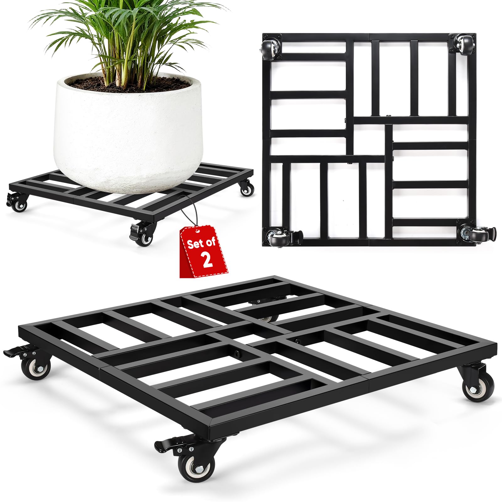 AugFir 22-inch plant caddy rolling beneath a large indoor plant for easy repositioning.