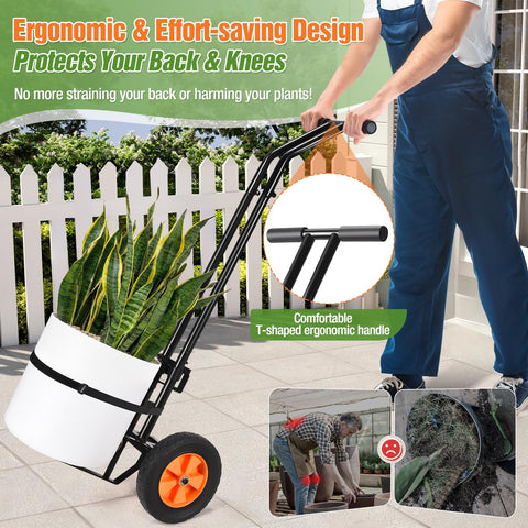 AugFir heavy-duty build with 175-lb capacity for larger planters and items.