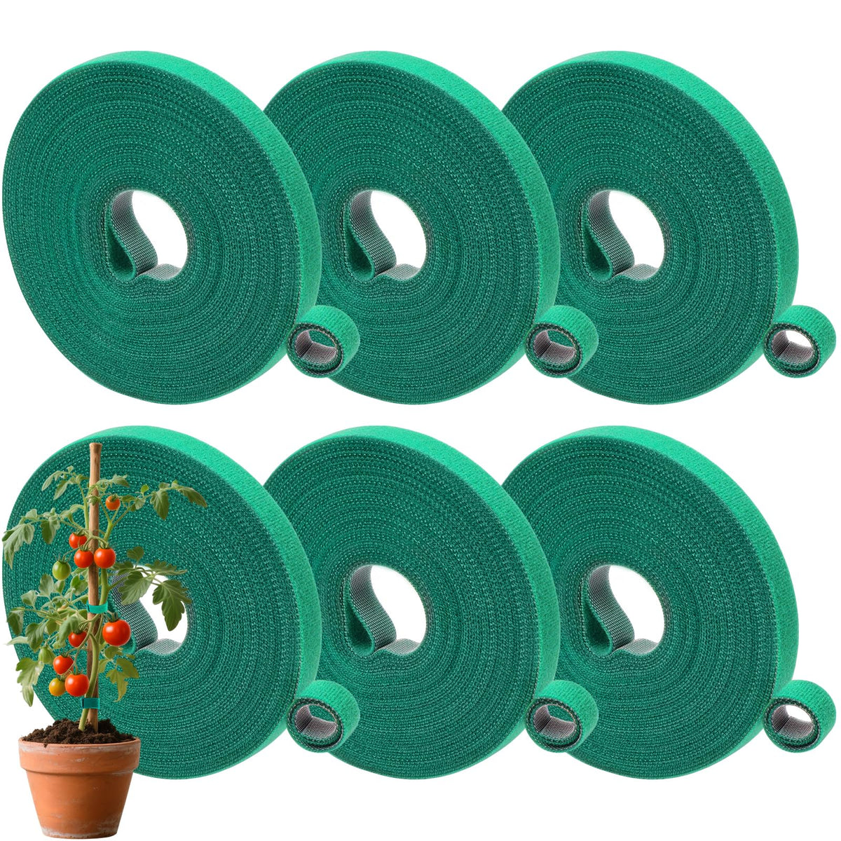 AUGHOA plant tape roll green six-pack for tying stems.
