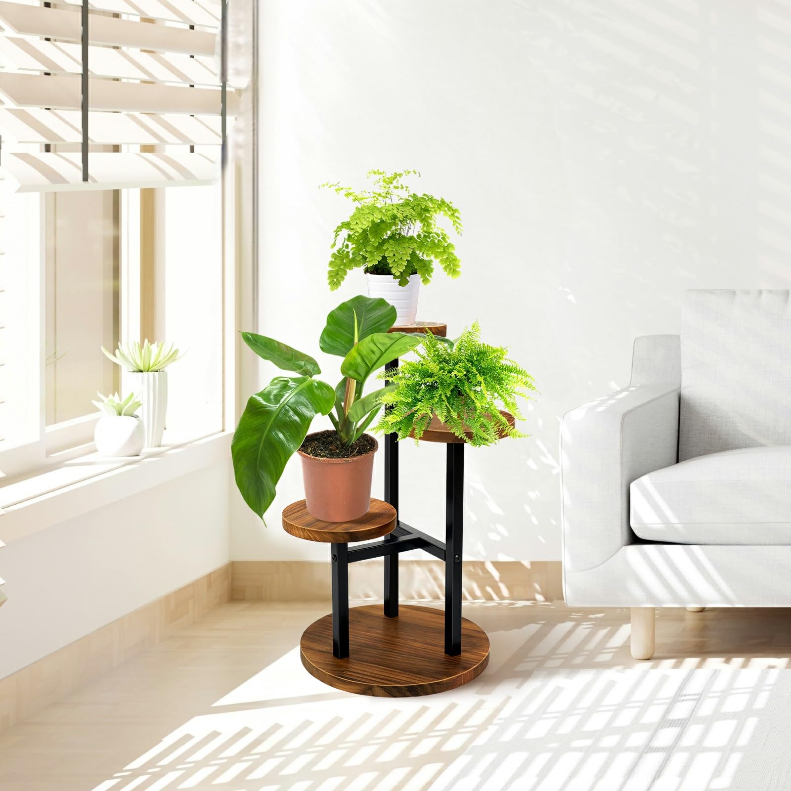 AUGOSTA 7-inch trays showcase small to medium plants and succulents effectively.