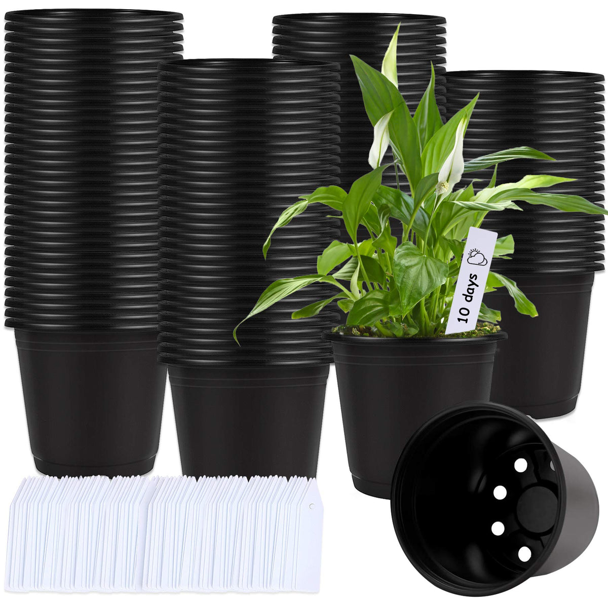 Augshy 110-pcs 6-inch nursery pots ready for seed starting and easy transplanting.