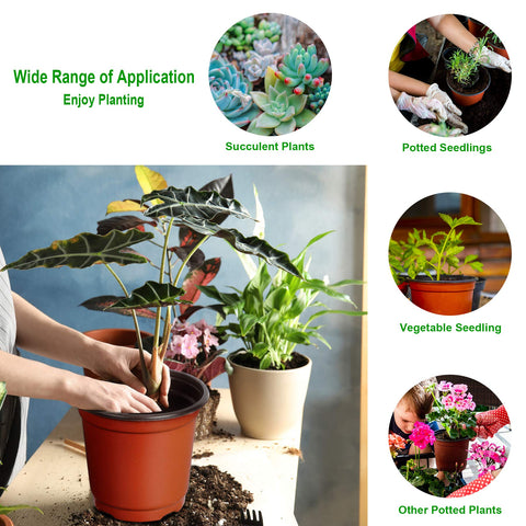 Augshy seedling-friendly pot suitable for succulents and urban gardens.