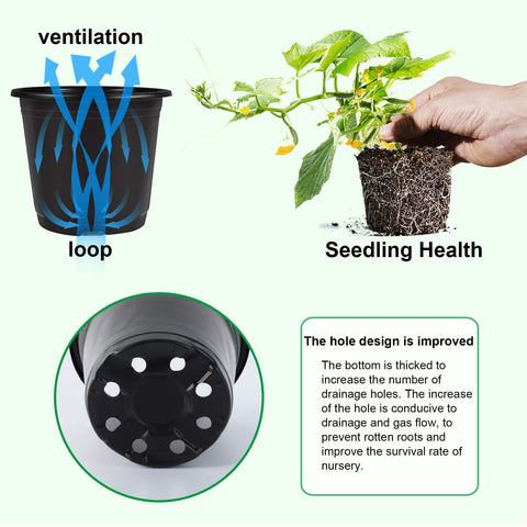 Augshy 12 drainage holes promote airflow and healthy root growth
