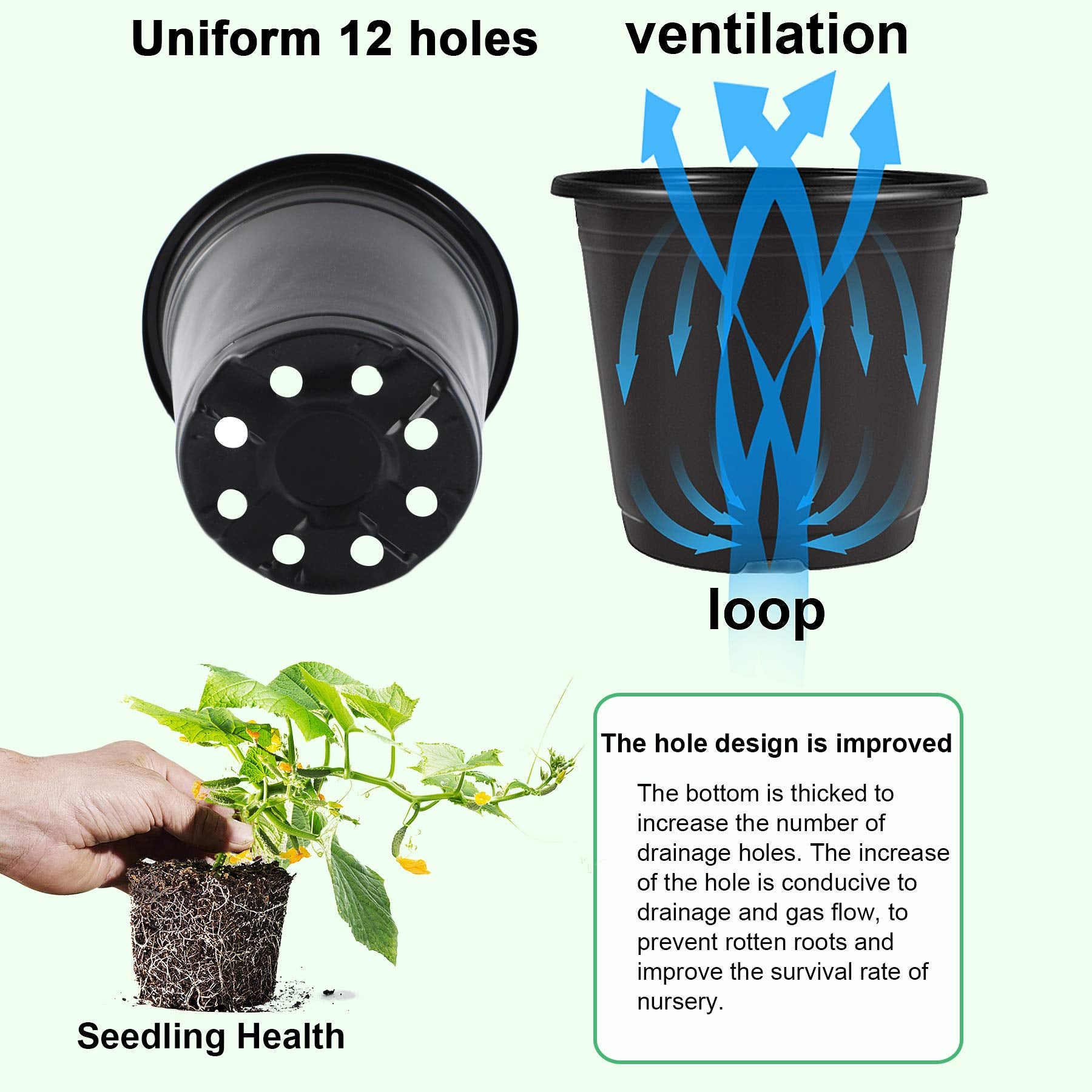 Augshy 12-drainage holes promote airflow and proper drainage for roots.