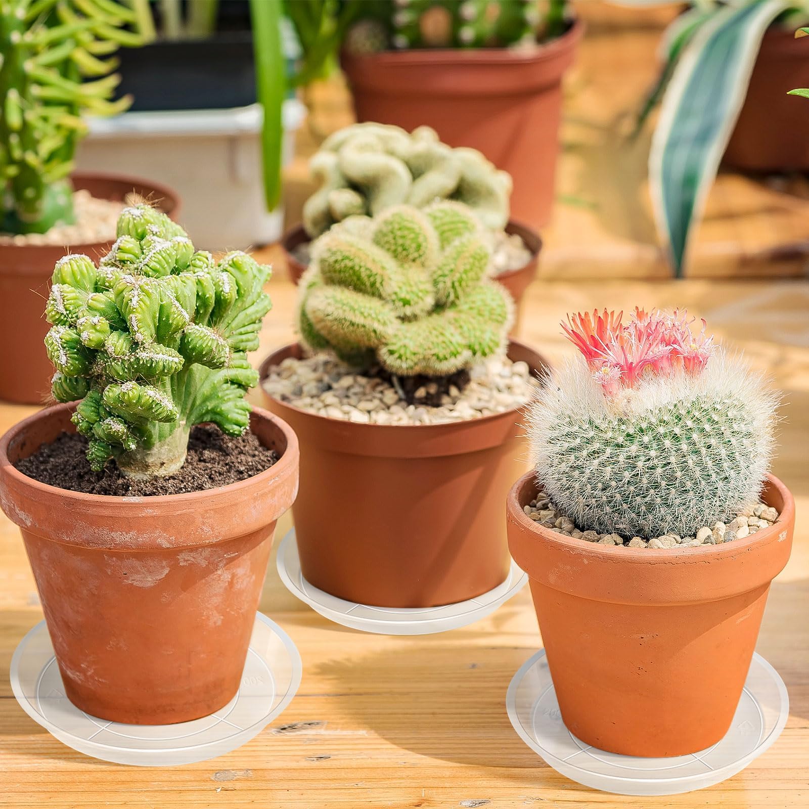 Augshy 10-inch clear plant saucer shown under balcony pots