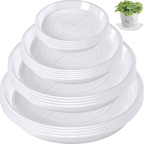 Augshy 4-inch clear plant saucer close-up highlighting durable edge protection for indoor pots