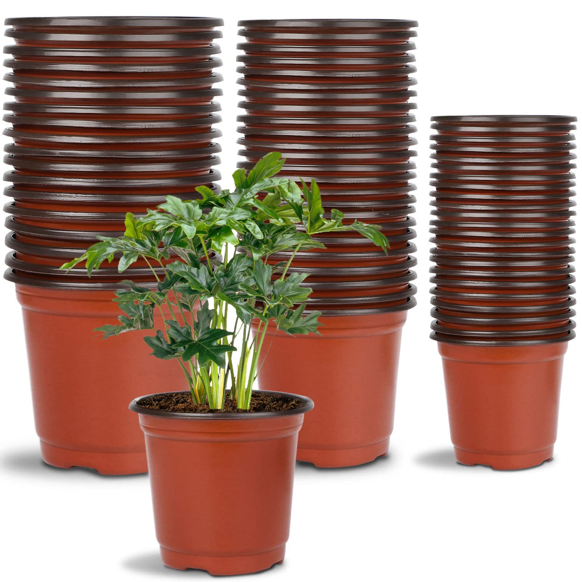 Augshy 4-inch nursery pot for seed starting with durable plastic