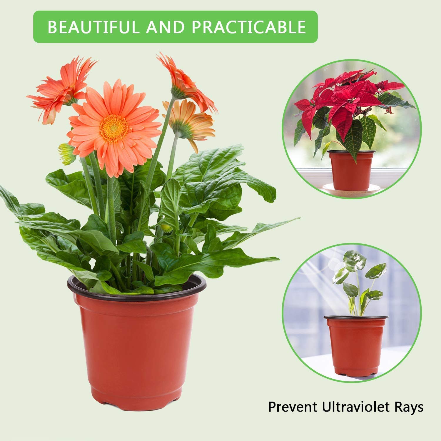 Augshy 40-pack plant pots for seed starting and transplanting projects.