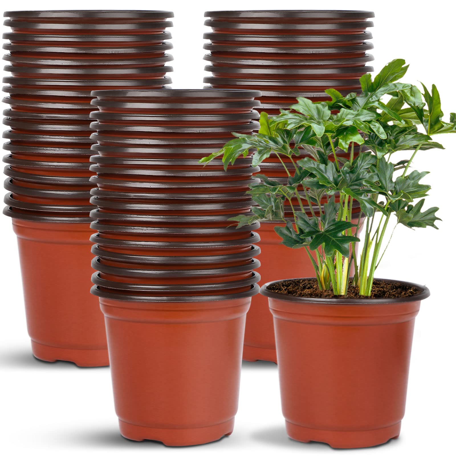 Augshy 40-pack seed starting pots for efficient seedling setup.