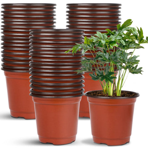 Augshy 40-pack seed starting pots for efficient seedling setup.