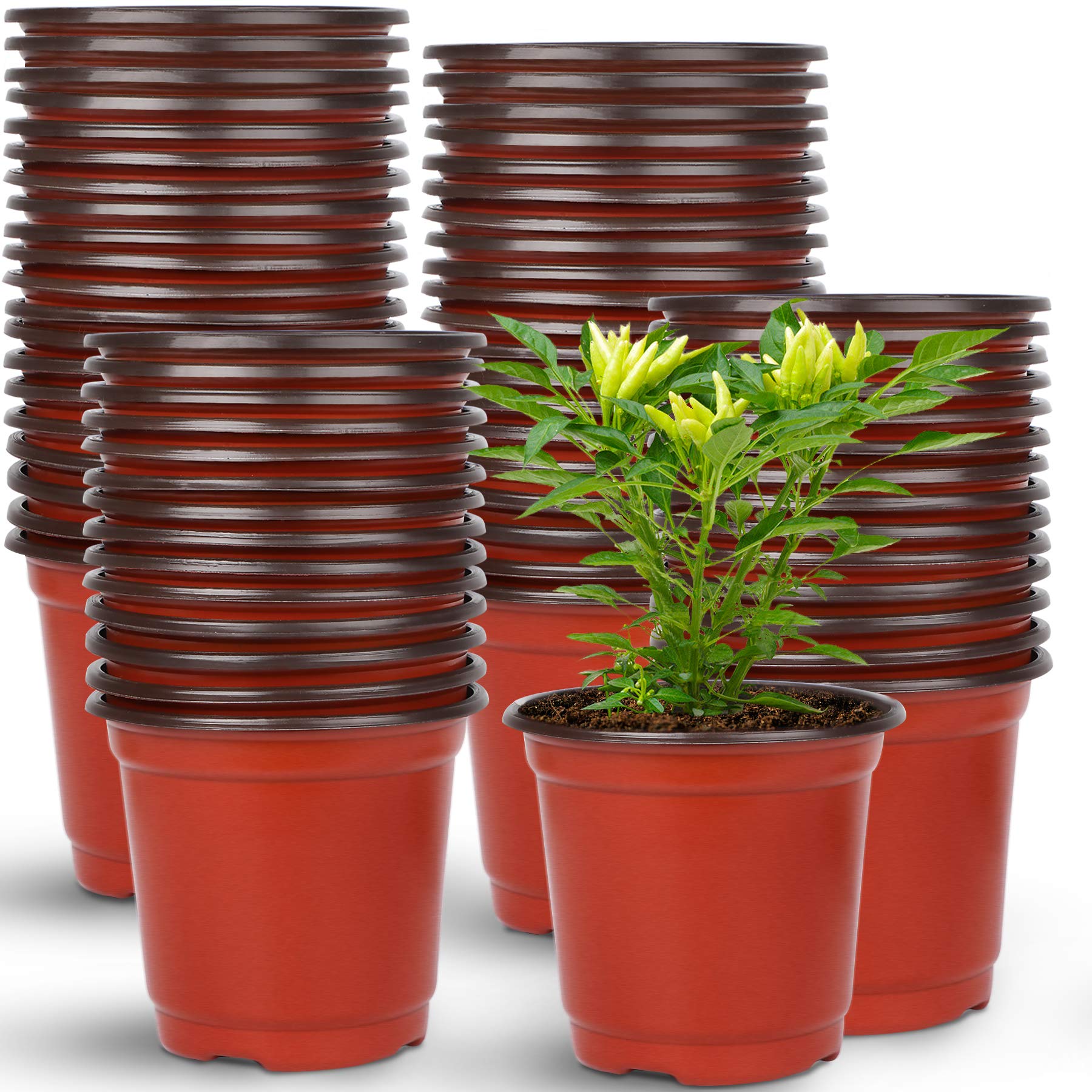 Augshy 4-inch nursery pot top view, sturdy and reusable for seedlings.