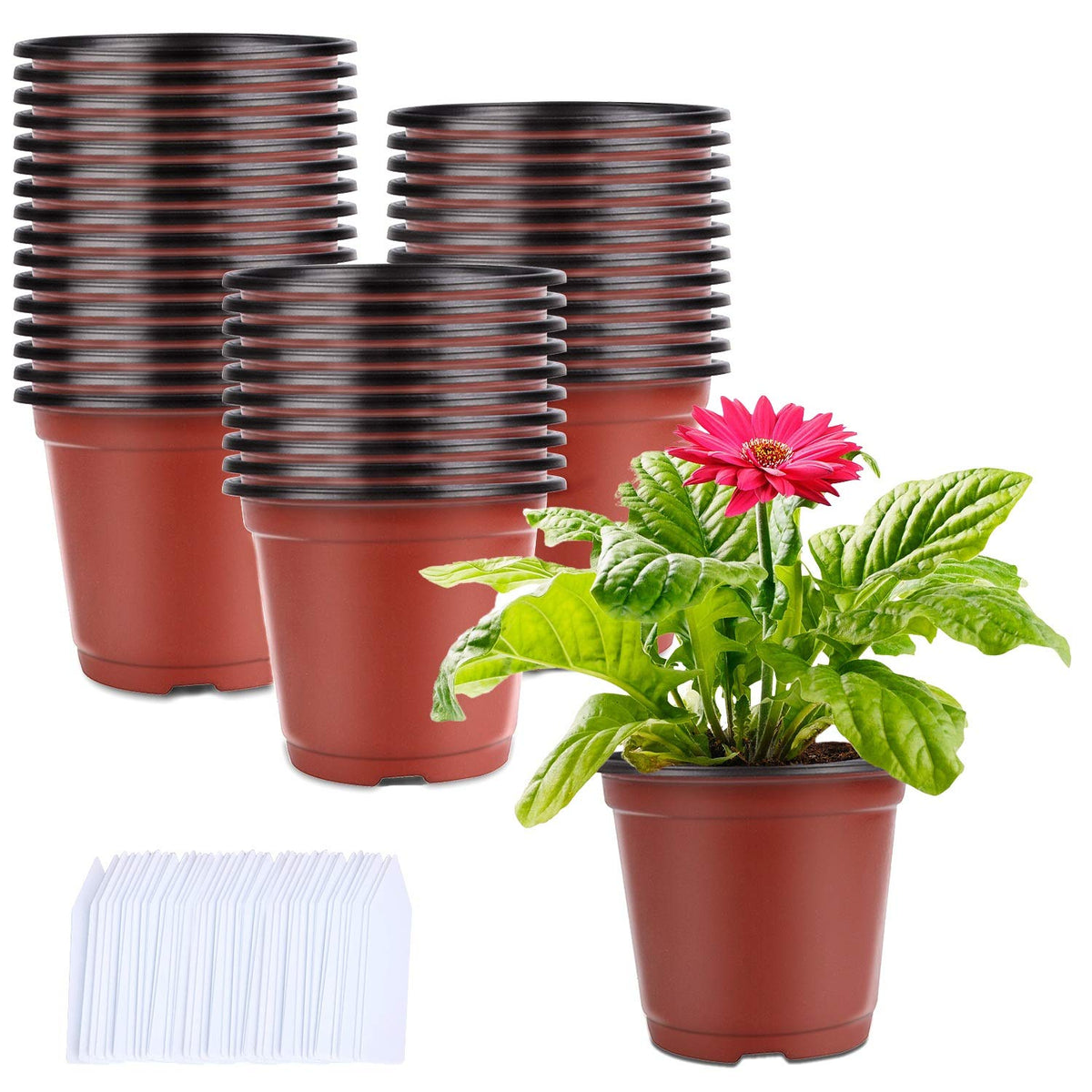 Augshy 4-inch nursery pot with brick-red exterior, ideal for seedling starts indoors.