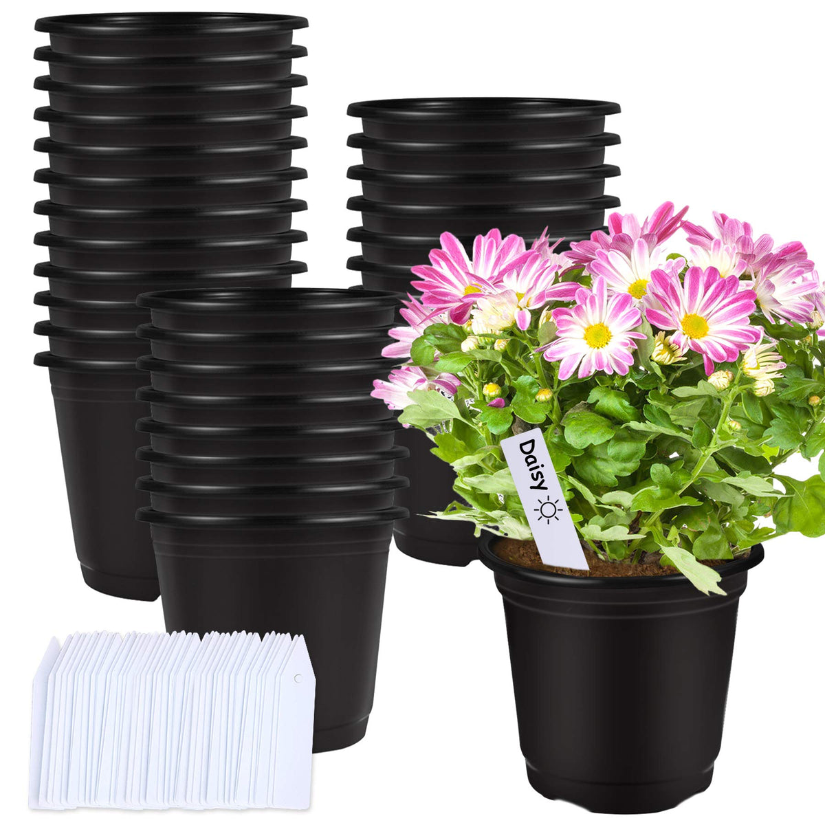 Augshy 50-pcs 6in black nursery pots set for seed starting and transplant readiness