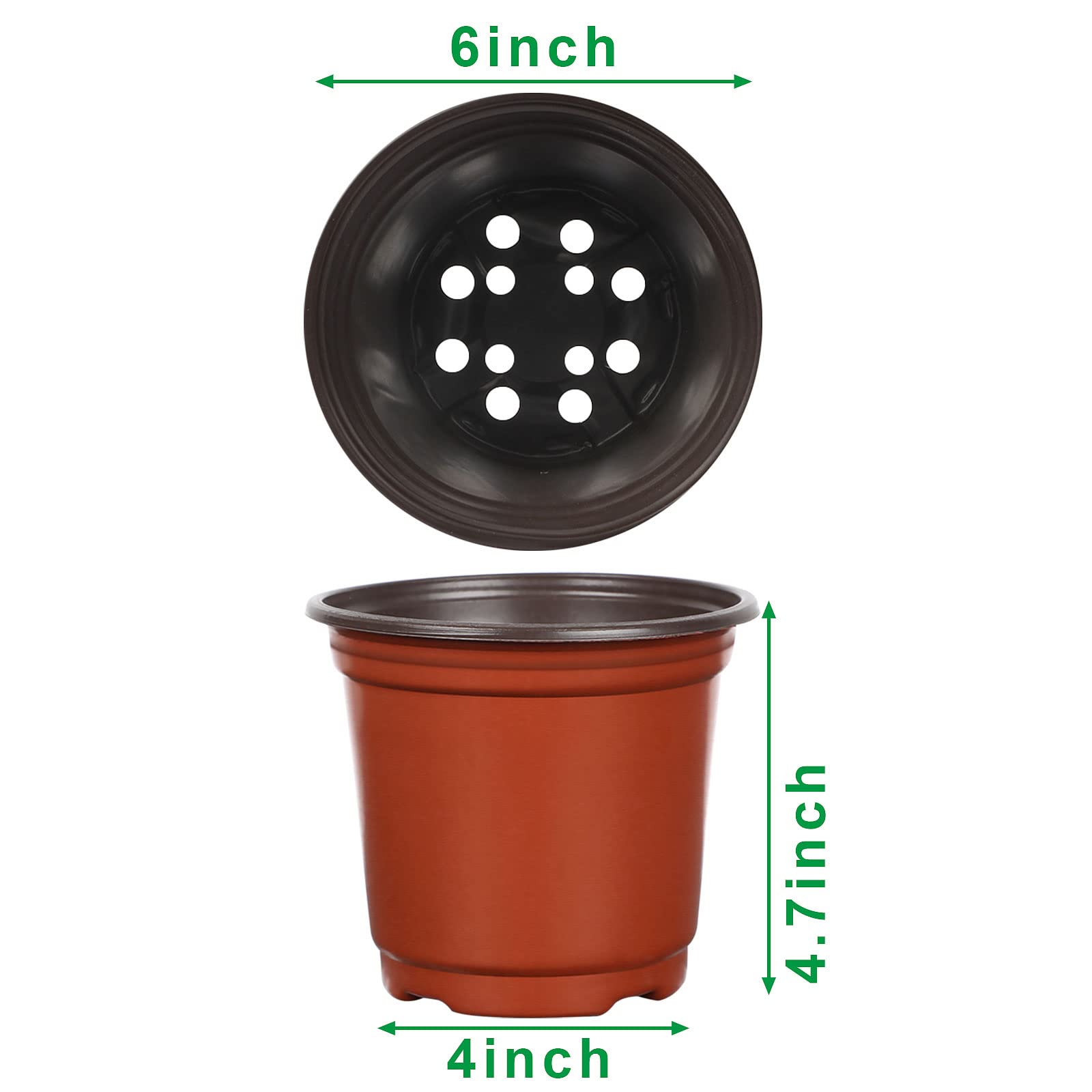 Augshy 6-inch pots with drainage holes support healthy growth.