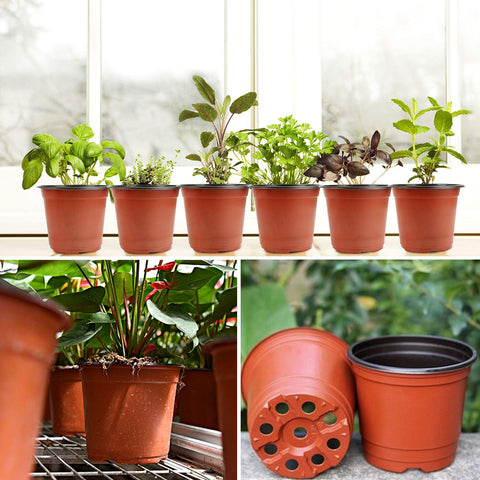 Augshy herb pot suitable for herbs and small vegetables