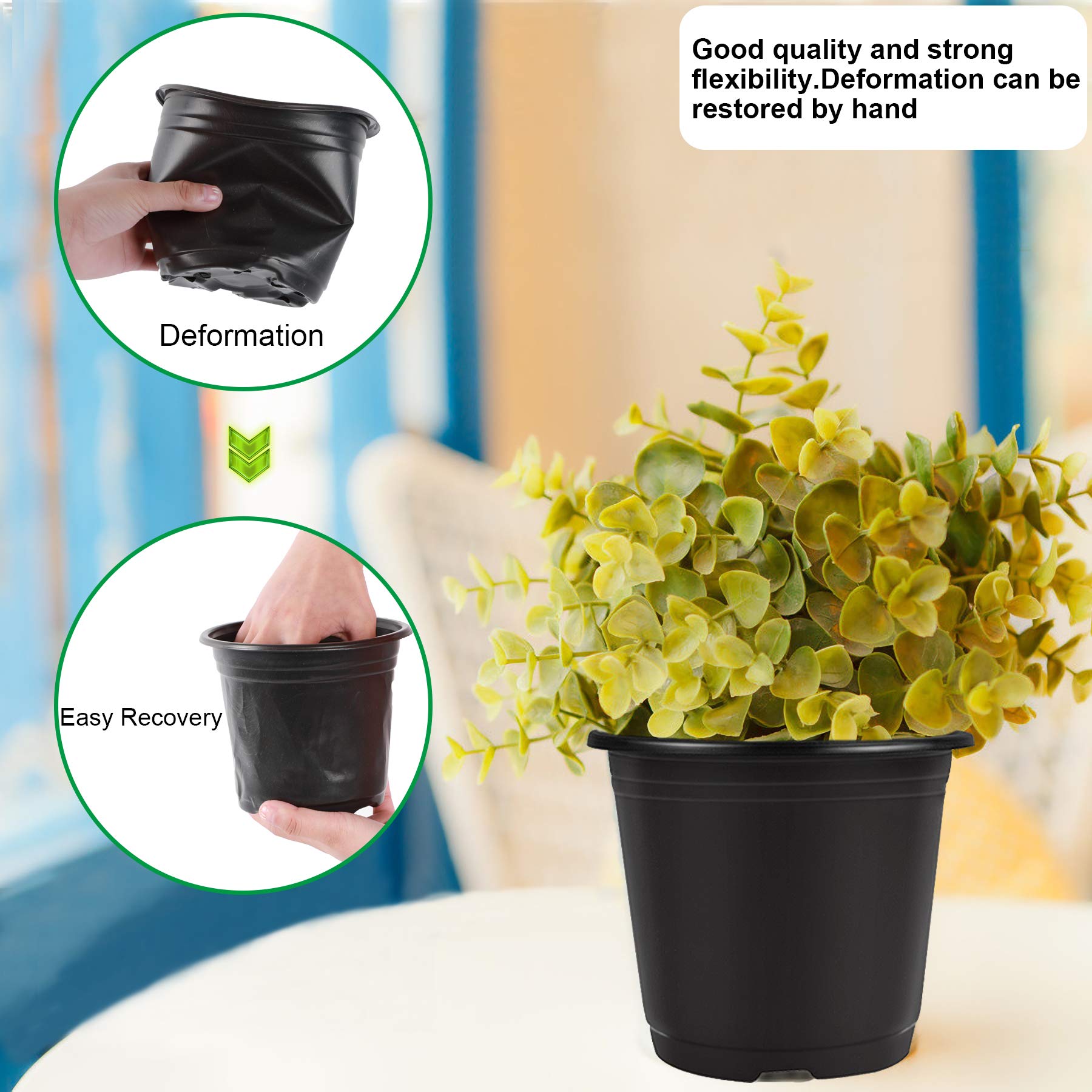Augshy 6-inch pots ideal for seedlings, cuttings, and transplanting projects