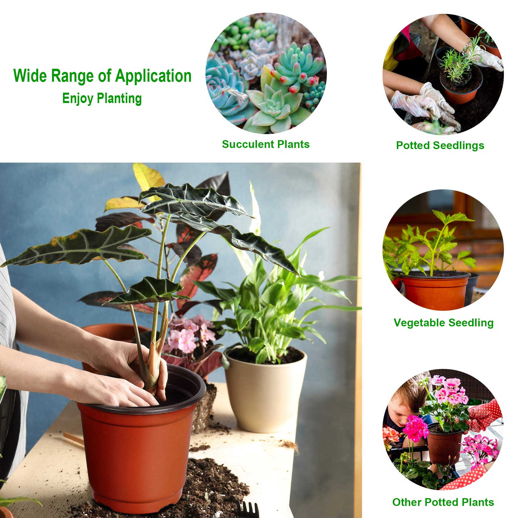 Augshy urban gardening setup using 6-inch nursery pots for green spaces