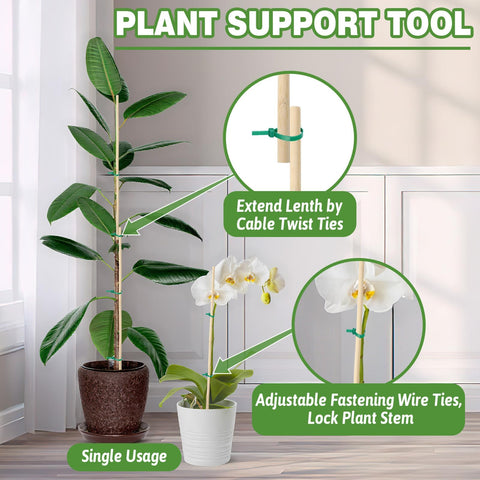 Augshy adjustable-height plant stake adapts to growing vines and vegetables.