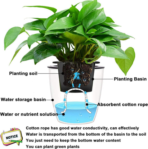 Augshy automatic watering wick enables consistent soil moisture between waterings.