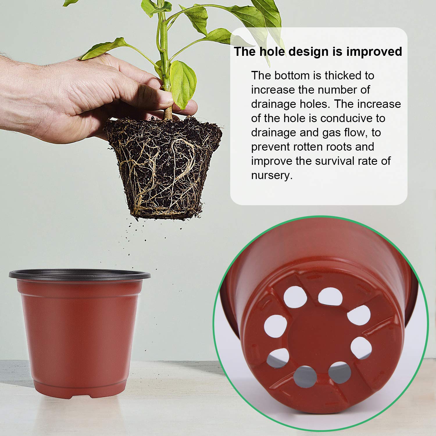 Augshy pot with thicker bottom and improved drainage holes.