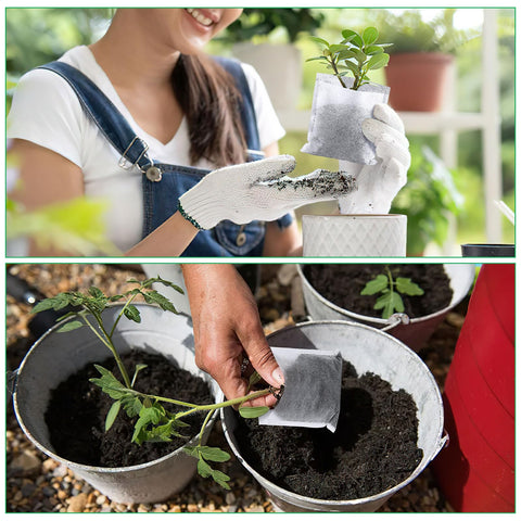 Bulk 200 bags from Augshy ideal for large nursery projects