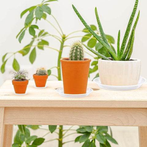Augshy clear plant saucer shown on a table for indoor use and drip protection
