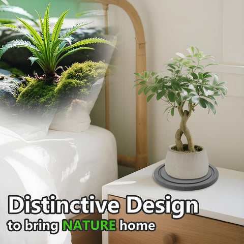 Augshy 2-pack; easy to clean and maintain for busy homes.