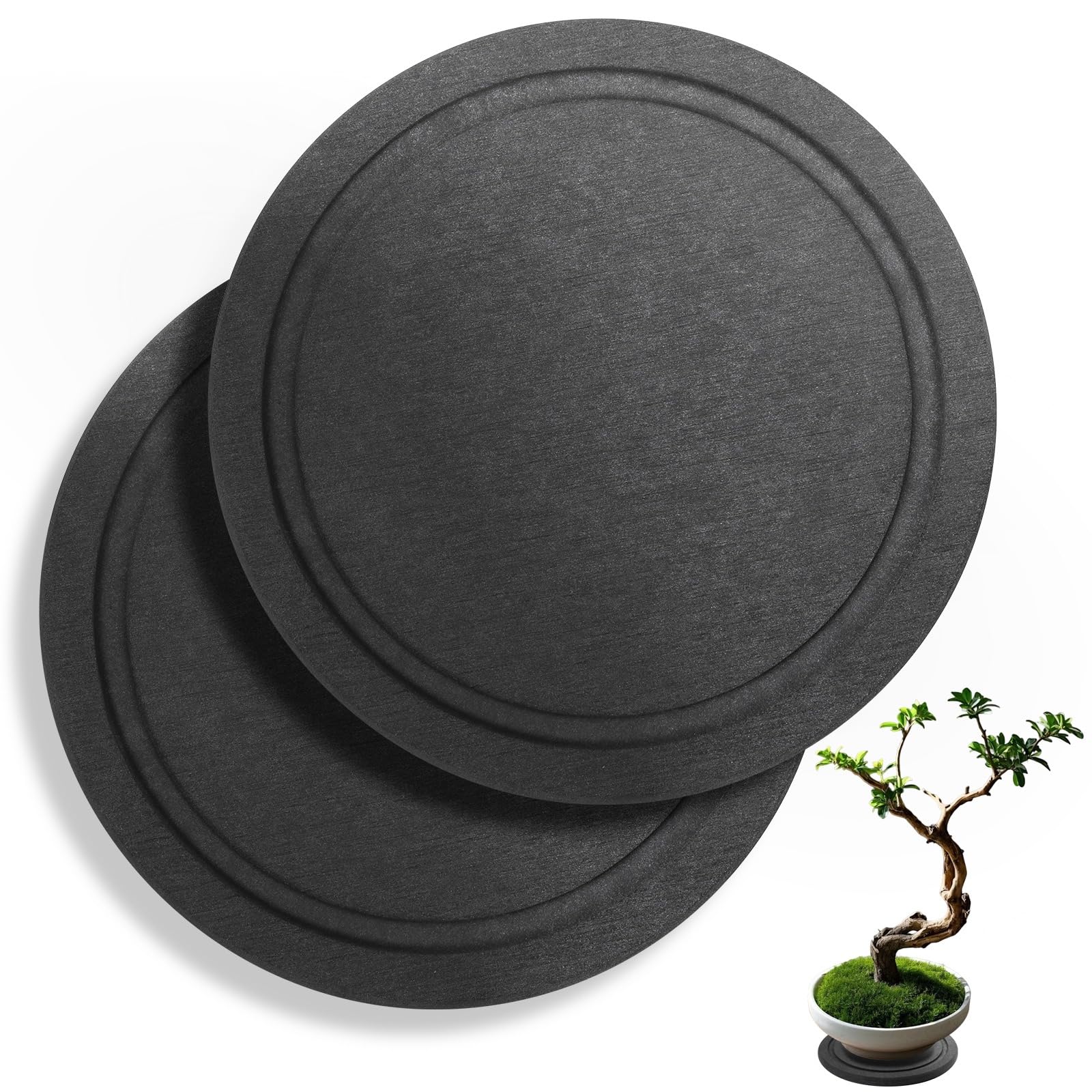 Augshy diatomaceous earth saucer, top view, absorbs excess water for healthier potted plants.
