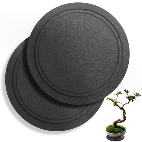 Augshy diatomaceous earth saucer, top view, absorbs excess water for healthier potted plants.