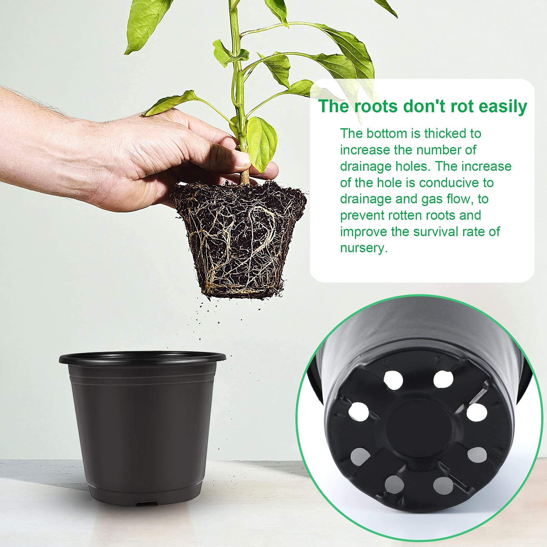 Augshy pot with 12 drainage holes for healthy drainage.
