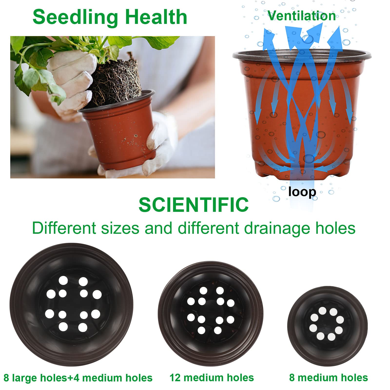 Augshy nursery pot showing drainage holes for root airflow