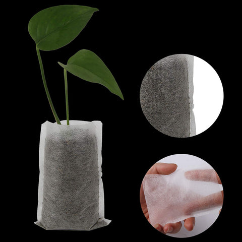 Augshy fabric seedling pots keep soil intact while supporting growth.
