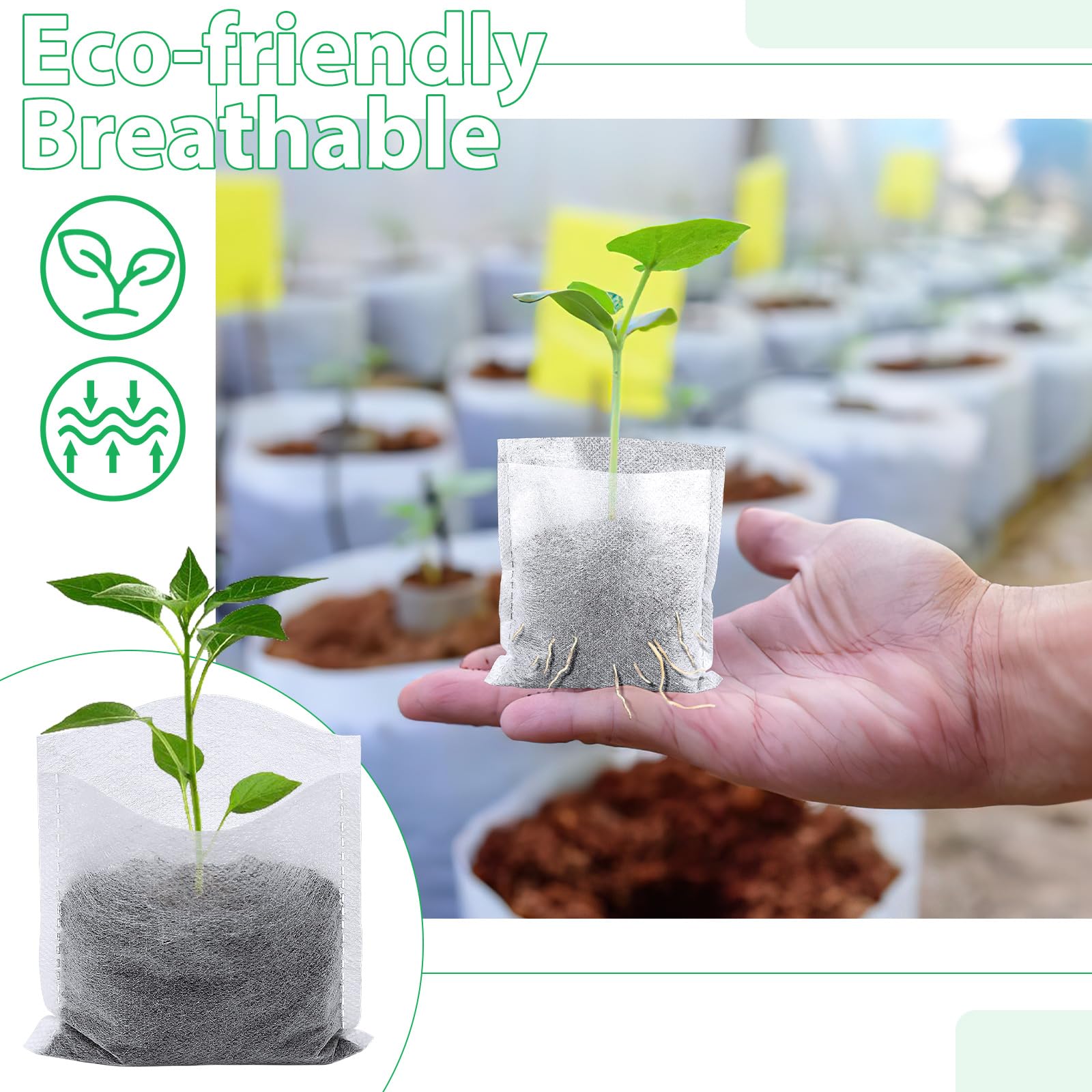 Humidity-control design in Augshy nursery bags keeps seedlings evenly moist