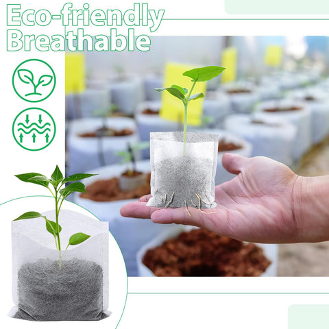 Humidity-control design in Augshy nursery bags keeps seedlings evenly moist
