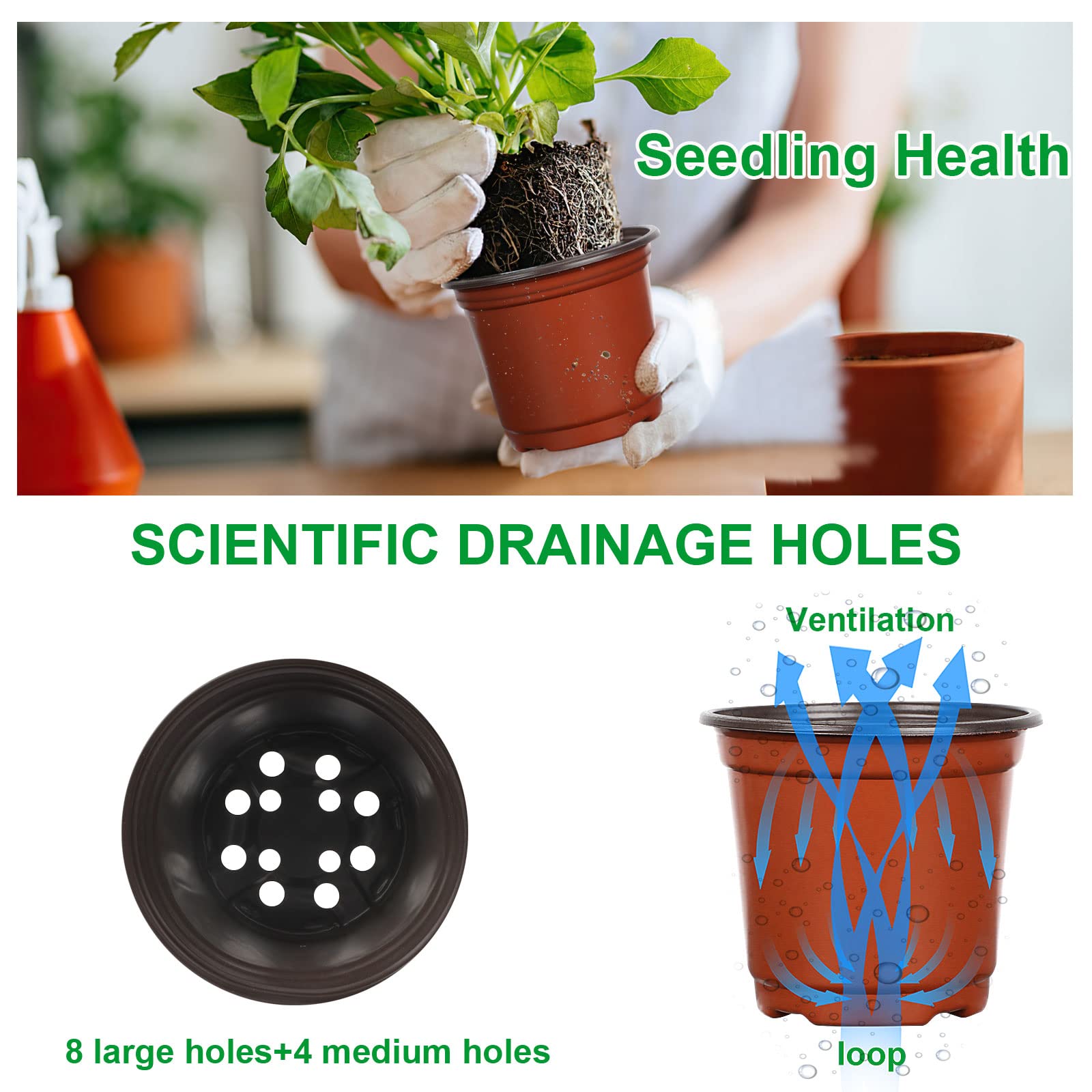 Augshy pots feature improved drainage holes for balanced watering.