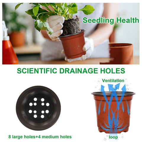Augshy pots feature improved drainage holes for balanced watering.