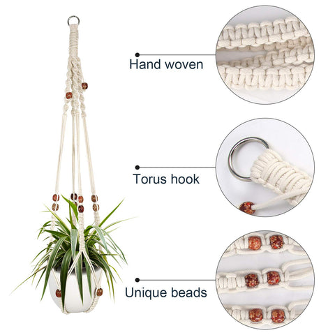 Augshy indoor-outdoor hanging plant adapts to ceilings, walls, or porches.