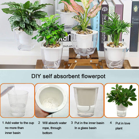 Augshy indoor-outdoor care solution keeps plants hydrated during trips.