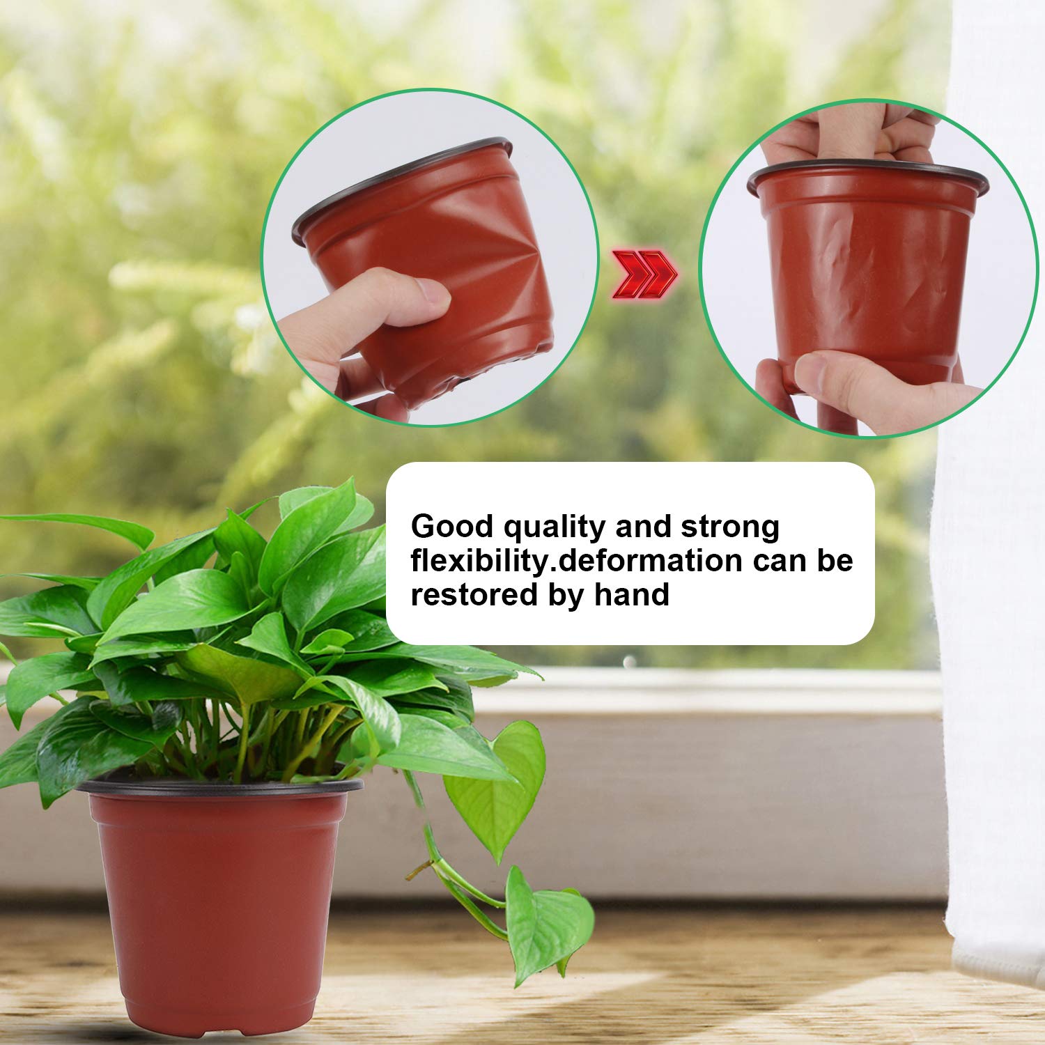 Augshy pot suitable for indoor and outdoor gardening.