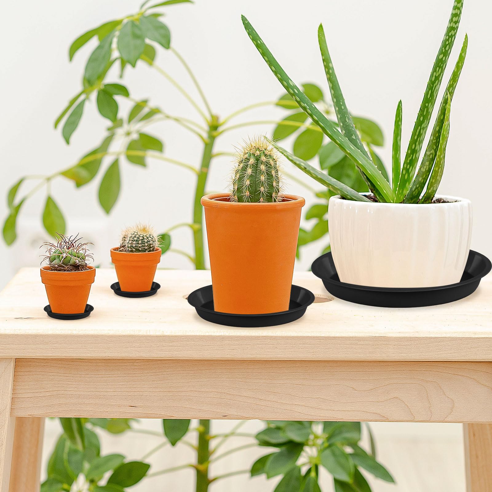 Augshy indoor-outdoor plant saucer tray ready for indoor or outdoor use