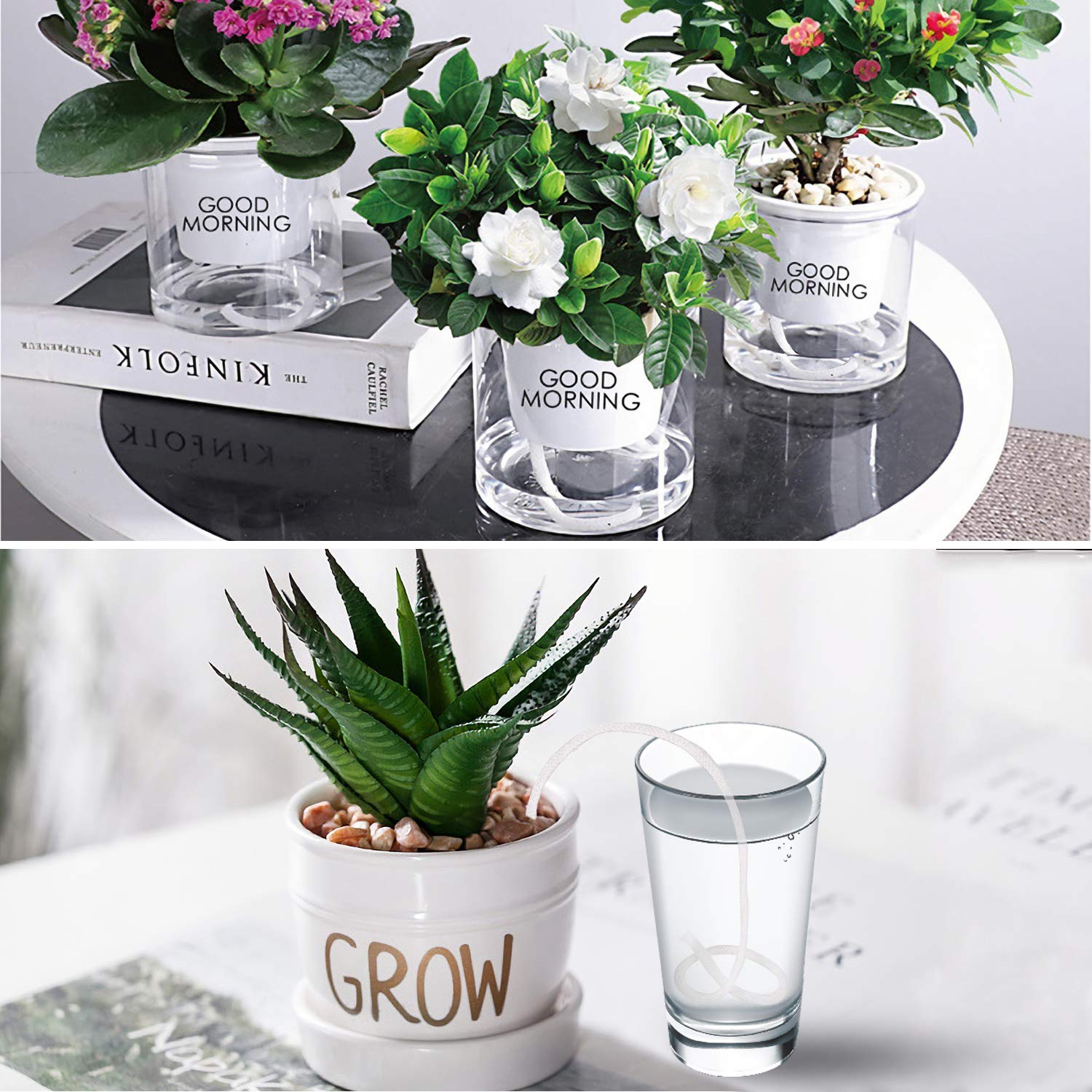 Augshy indoor-outdoor wick supports versatile plant care for both homes and exteriors.