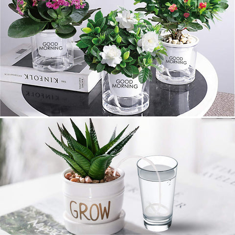 Augshy indoor-outdoor wick supports versatile plant care for both homes and exteriors.