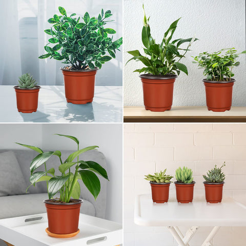 Augshy lightweight polypropylene pot combines durability with portability